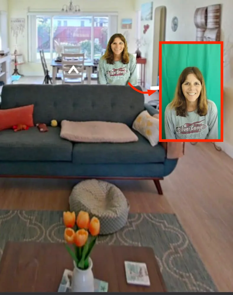 Sgreen Screen Video Example