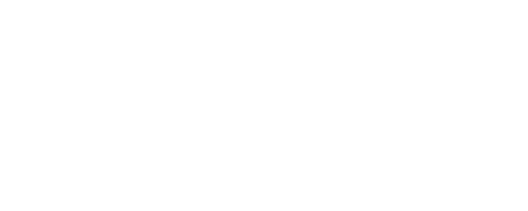 ViVSoft Logo